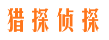 理县侦探公司